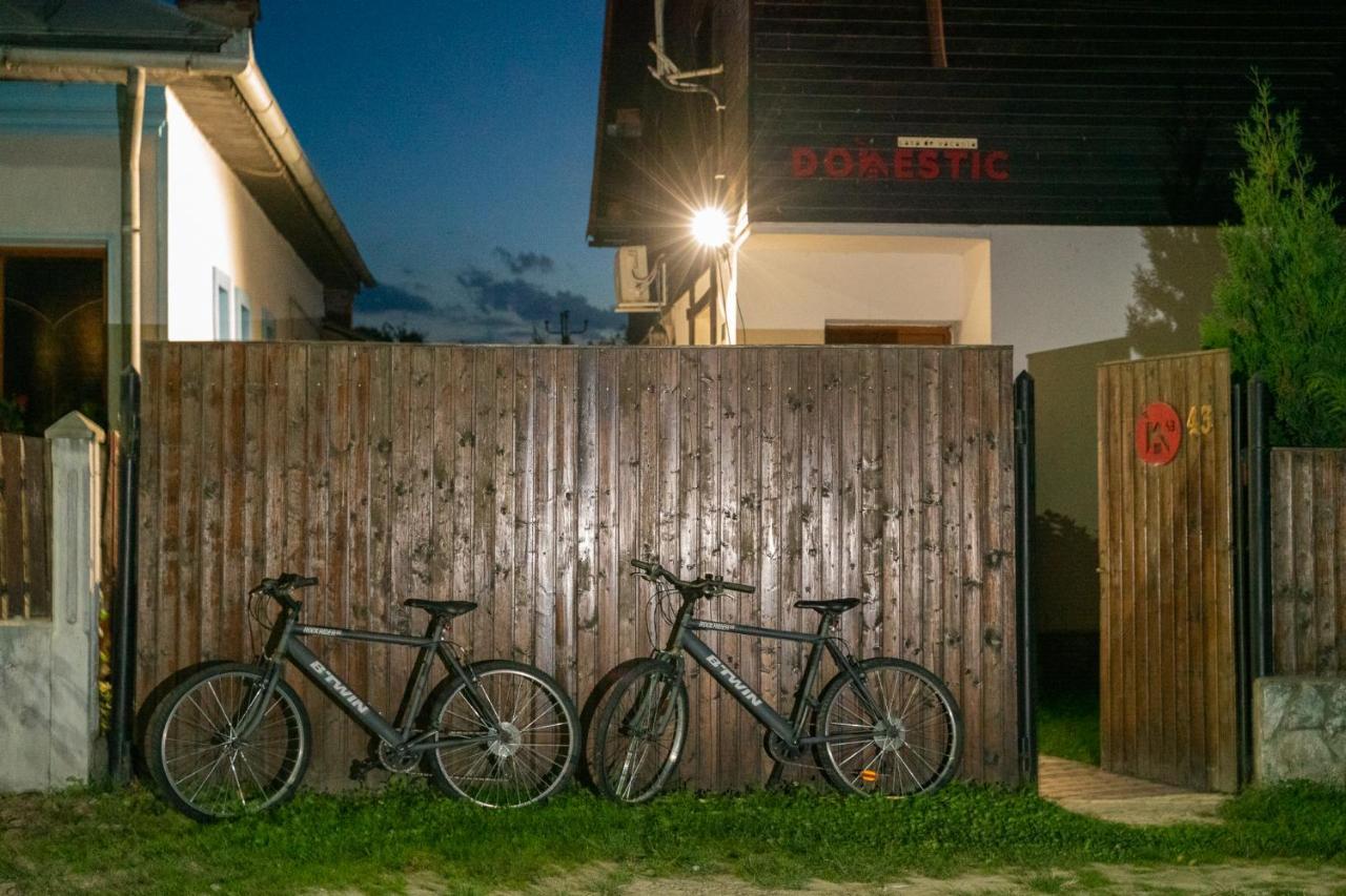 Hébergement de vacances Casa Domestic Vistea de Sus